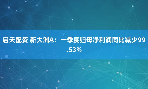 启天配资 新大洲A：一季度归母净利润同比减少99.53%