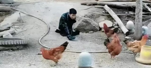 速盈策略 河南“爬行娃”的逆袭人生：靠养鸡给养父盖新房，被漂亮女网友倒追，升级为幸福奶爸