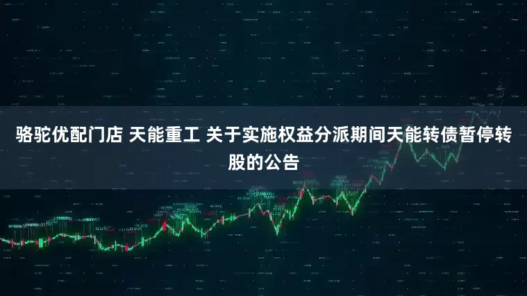 骆驼优配门店 天能重工 关于实施权益分派期间天能转债暂停转股的公告